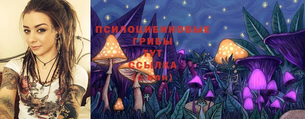 ГАЛЛЮЦИНОГЕННЫЕ ГРИБЫ Алексин