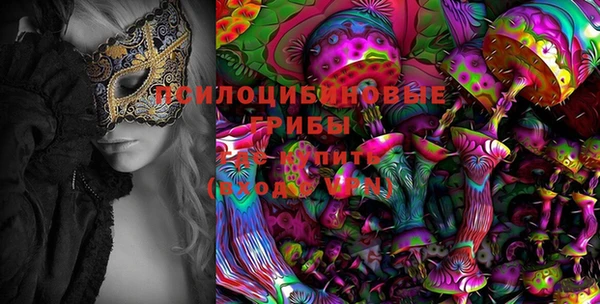 спайс Алексеевка