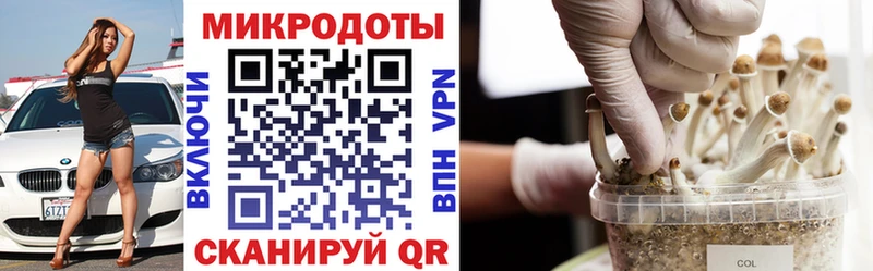 Галлюциногенные грибы Cubensis  как найти закладки  Аргун 