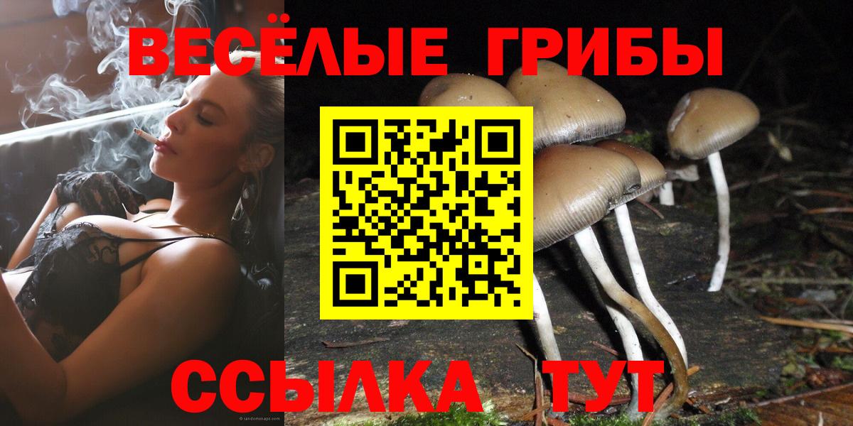 Аргун  Галлюциногенные грибы мицелий  Вход с VPN 